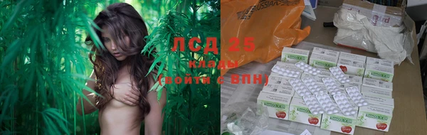 стаф Абдулино