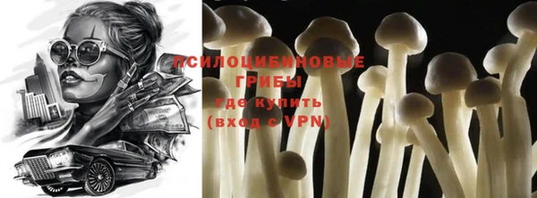 стаф Абдулино