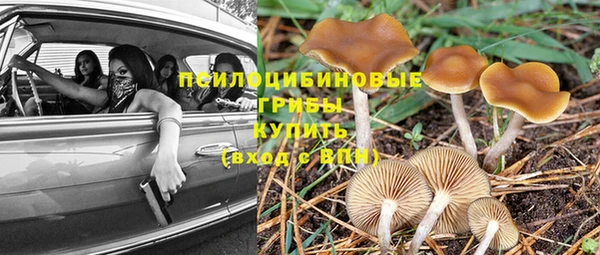 стаф Абдулино