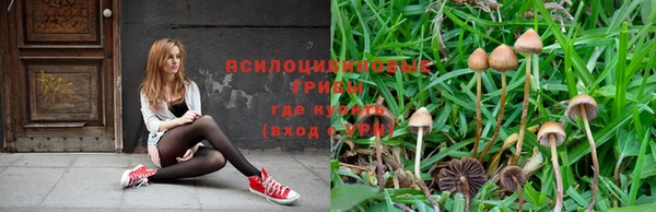 каннабис Абаза