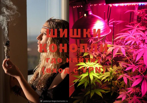 каннабис Абаза