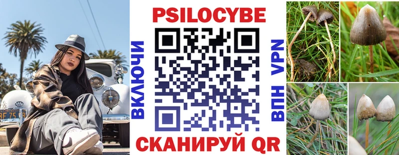как найти закладки  Чухлома  Галлюциногенные грибы Psilocybine cubensis 